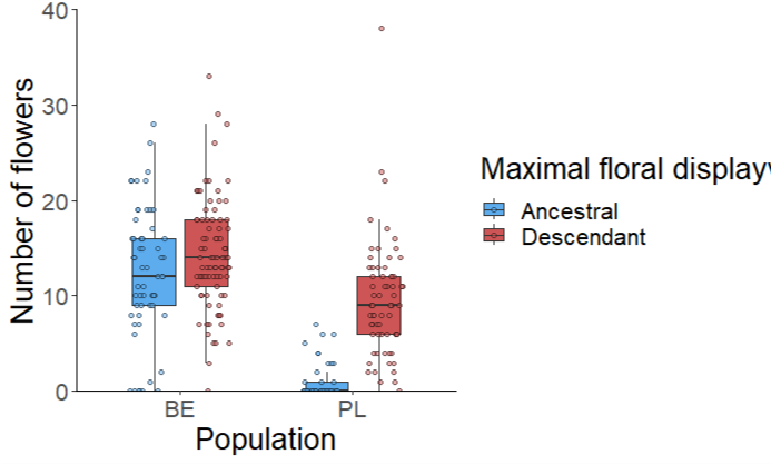 fig-2