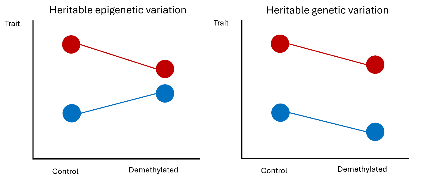 fig-5