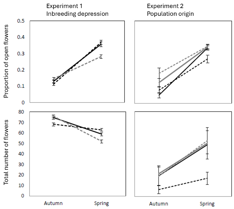 4 graph of cleistogamous flower production