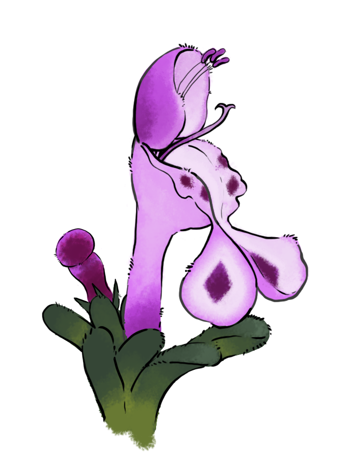 drawing of a lamium flower