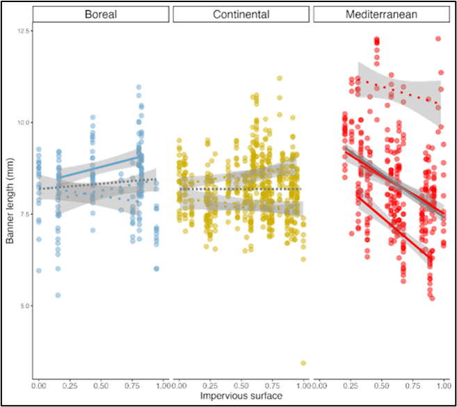 graphic illustrating variation of flower in different environments